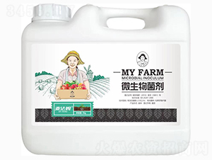 ΢�������-����ķ-��������