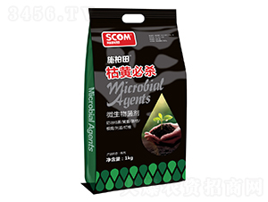 ΢�������-���S�ؚ�-˹��ķ