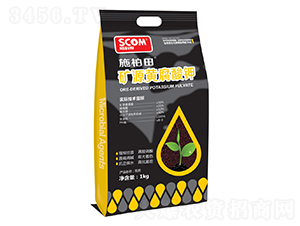 �VԴ�S�����-ʩ����-˹��ķ