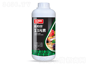 13Ԫ��-ʩ����-˹��ķ