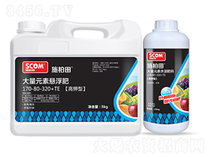 ����ʹ���Ԫ�ؑҸ���170-80-320+TE-ʩ����-˹��ķ