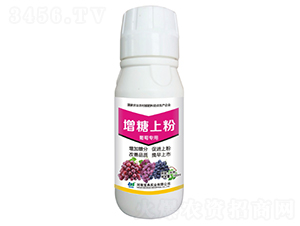 ���������Ϸ�-���䌍(sh��)�I(y��)