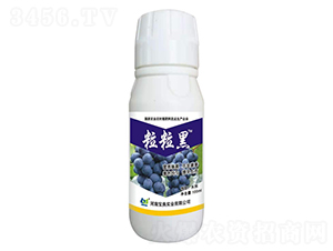 ���ь����~���-������-���䌍(sh��)�I(y��)