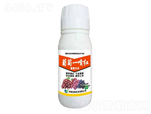 ����һ���t-���䌍(sh��)�I(y��)