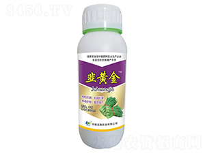 500ml�²˿������a(ch��n)��(zhu��n)�Ä�-���S��-���䌍(sh��)�I(y��)