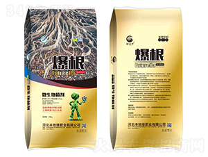 ΢�������-����-�S�ؾ�