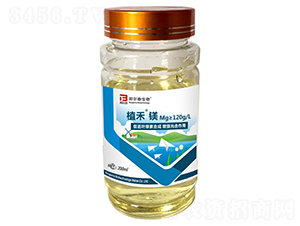 ֲ���V-�̩