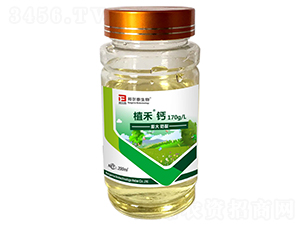 ֲ���}-�̩