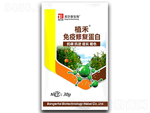 �����ޏ�(f��)����-ֲ��-�̩