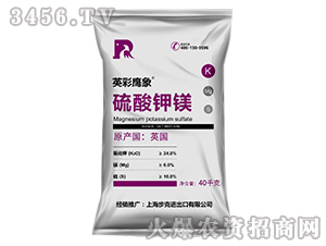 ������V-Ӣ������-����