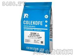 ����Ԫ��ˮ�ܷ���-Ӣ������1̖(h��o)-����