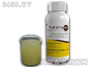 ���M�M-�����