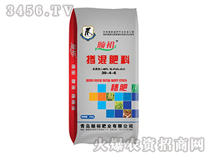 �������30-4-6-�ԣ