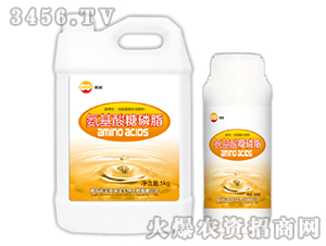 ����������֬-�Z����