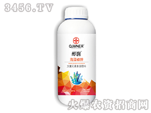 �������-����-�Z����