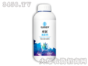 ���塤�}-����-�Z����