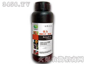 ������������ɫһ���`-��ֲ��(y��u)