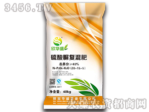 �������(f��)���20-15-5-���Aʢ