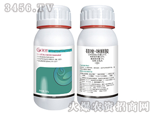 25%�������r��ˮ�鄩-��Ȼ����