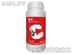 5%���������-��Ц-��ֲ��