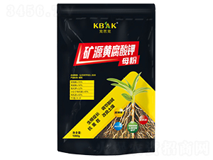 �VԴ�S�����-�˰ſ�-�����S