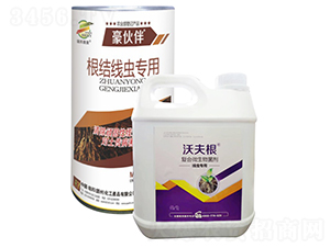 ΢�������-�����-�ַ��