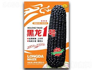 ����һ̖(h��o)-���׷N��-����N�I(y��)