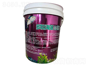 ���ĺ����~(y��)����-��(l��)��̩