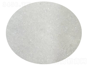 ���w���@-�֠���(y��u)