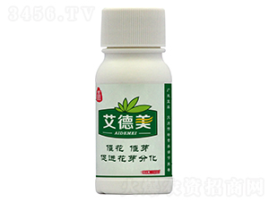 �~���-������-�{(l��n)���r(n��ng)�I(y��)