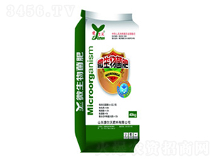 ΢�������-�ݠ���