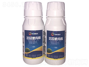 0.01%�|̦�؃�(n��i)��-��(bi��o)��(chu��ng)��(gu��)�H