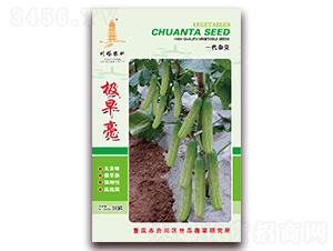 �O����-�S�ϷN��-�����r(n��ng)��