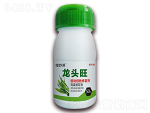 ֲ�：(x��)���ޏ�(f��)��-���^��-������A