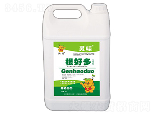 ���ö�-�`��-���r(n��ng)����