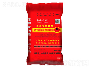 ����΢�������-�Ƶ´��