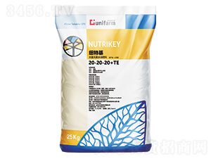 ������ԭ�b�M(j��n)��20-20-20+TE