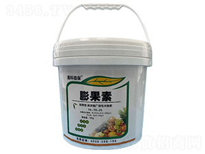 �����-�ο�ֲ��-������