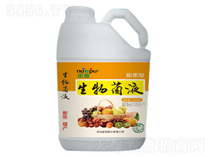 �����Һ-�Z��