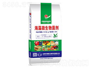 ����΢�������-����