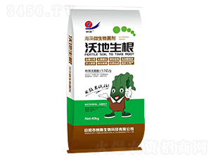 ����΢�������-�ֵ�����-����