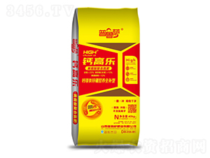 �S�����(f��)�ϵ���-�}�ߘ�-�����_