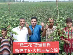 �����67��������Ч���D��-���SԪ