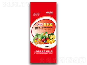 �����ЙC(j��)��-���S�G-�Ϻ�����