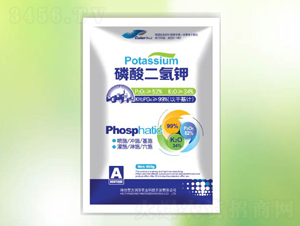 �������⛡�400g��-�䠖-�|������