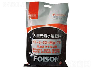 ����Ԫ��ˮ�ܷ���13-6-33+Mg+TE-���ָ�-ʢ�Z����