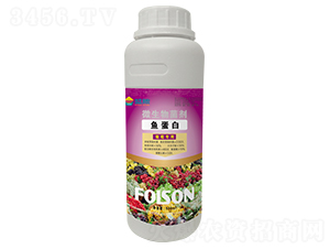 ���ь����~����-ʢ�Z����