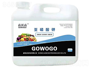 �������-���ָ�-ʢ�Z����