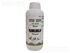 �ɻ����}-�װ�˹