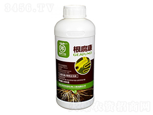 ������-���ִ��-��᷾G��